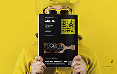陕西绯茶品牌设计